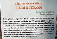 12 - Legume du 19e - Le Maceron.jpg